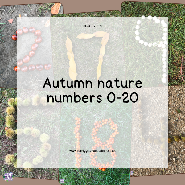 Autumn nature themed numbers 0 to 20