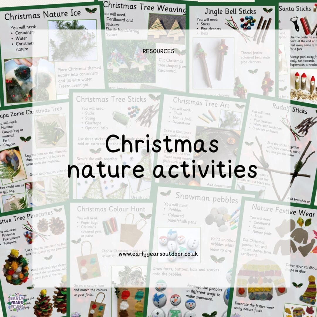 A set of Christmas nature activity sheets
