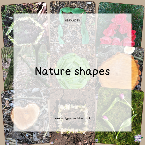 Nature shapes