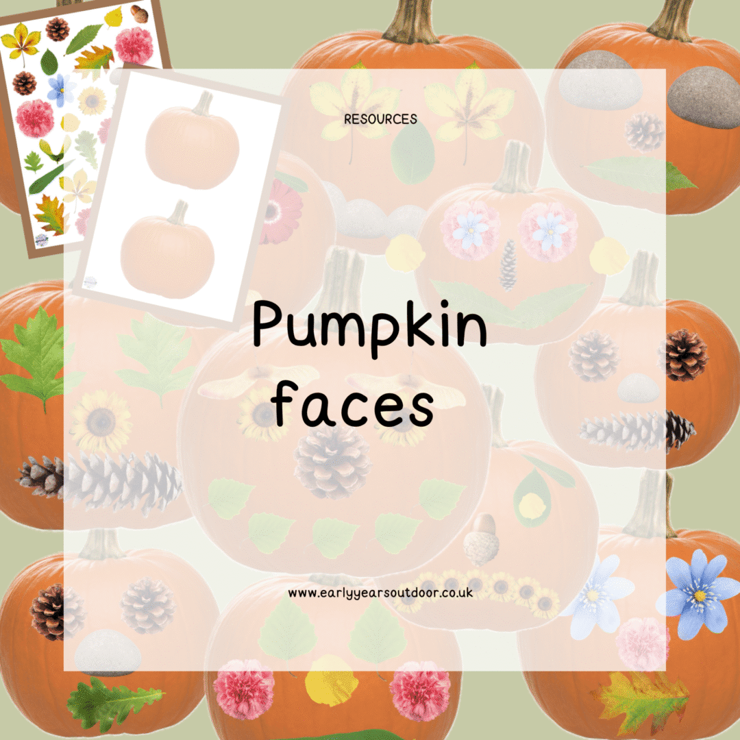 Pumpkin nature faces
