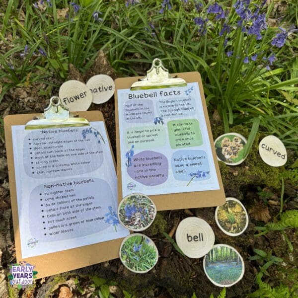 Bluebell fact sheets on clipboards with vocabulary and images on log slices, surrounded by bluebells