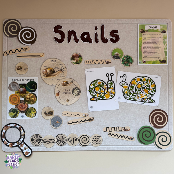 Snails and spirals display board