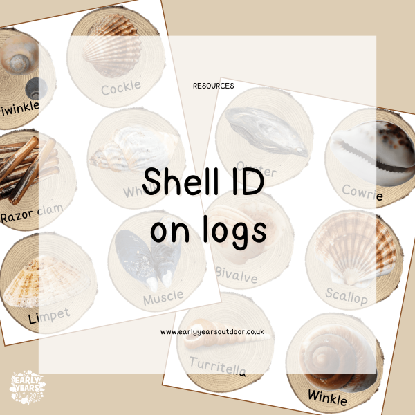 Shell images on logs