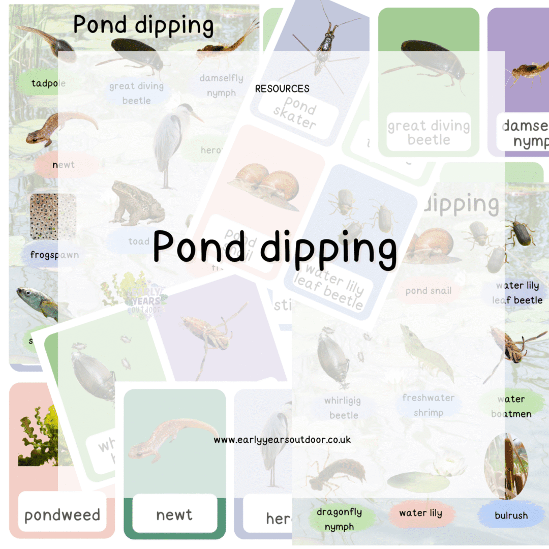 Pond dipping cards with images of things seen at the pond.