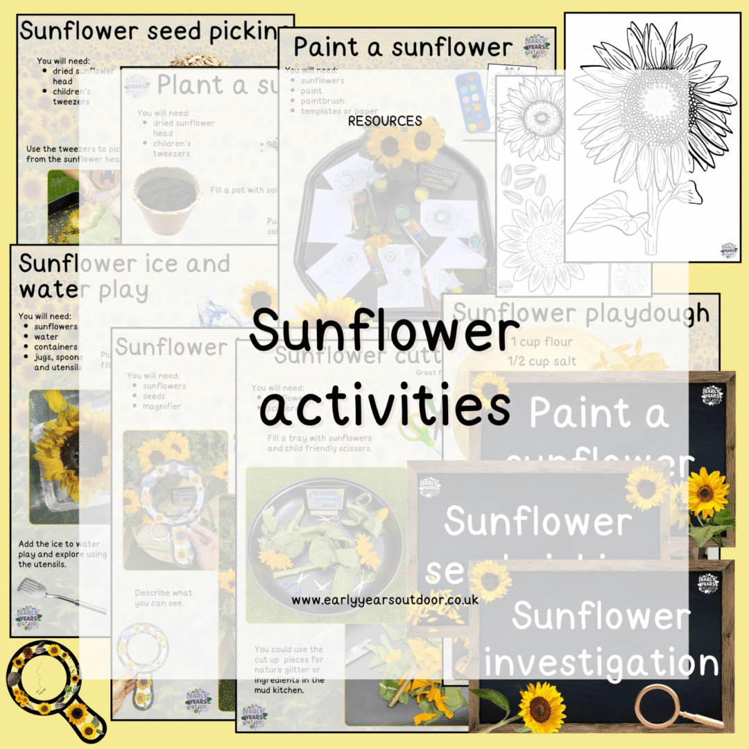 Sunflower activities