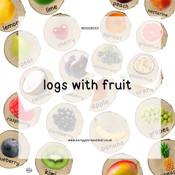 Log slices with fruit images and vocabulary