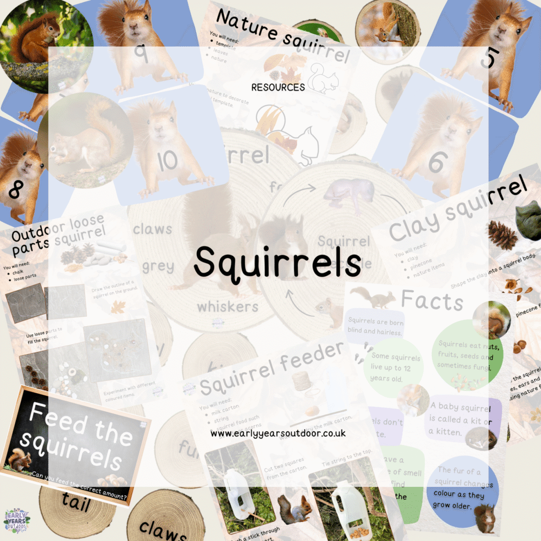 Squirrel activities with a nature theme
