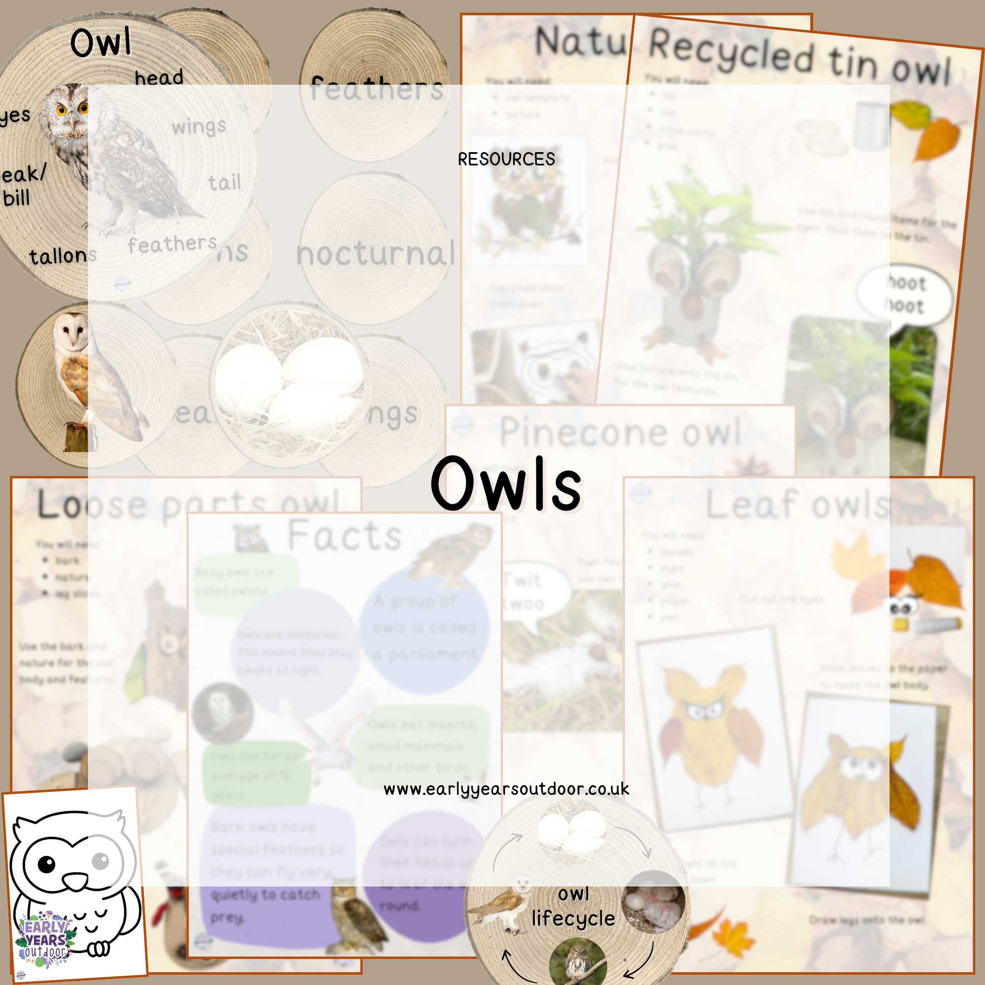 Owl nature activities, log slices, vocabulary, facts and signs