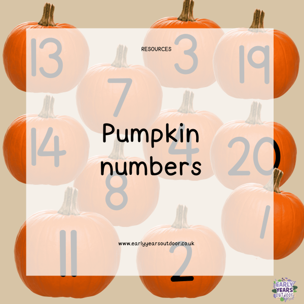 Pumpkins with numbers on