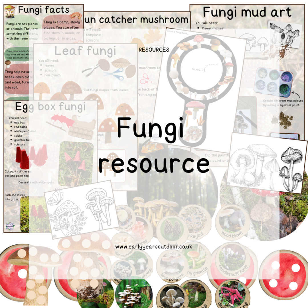 Fungi images, activities, facts, magnifier and colouring sheets
