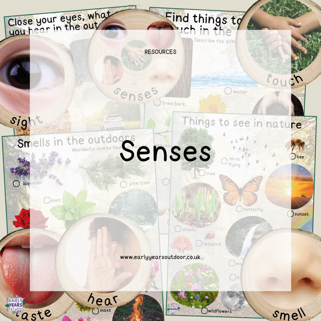 senses logs and things in nature to smell, see, hear and touch