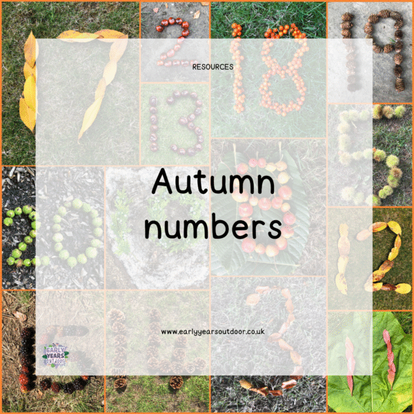 Autumn numbers made from nature