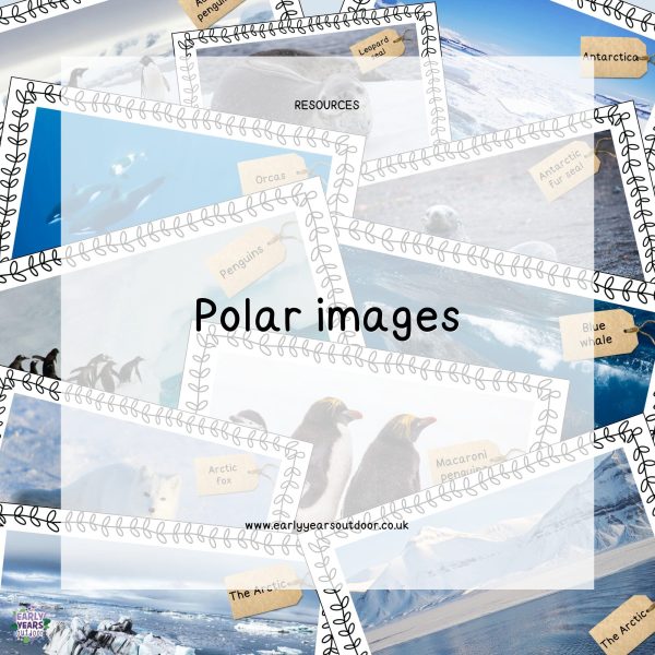 Images and labels of polar animals and scenes