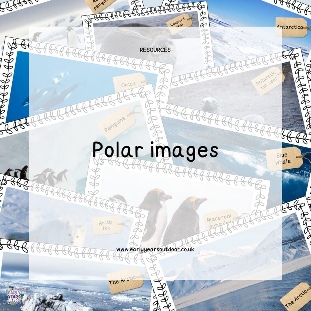 Polar scavenger hunt - Early Years Outdoor