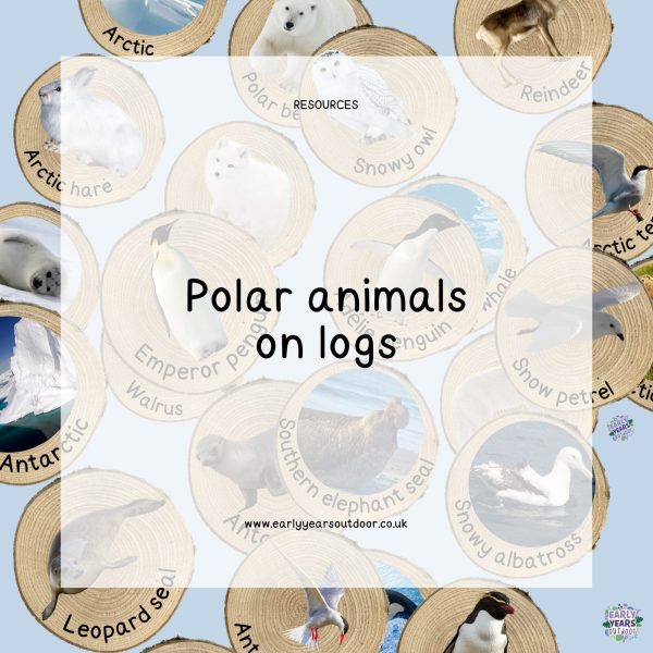 Polar animal images and labels on logs