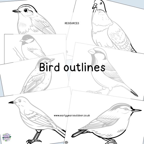 Bird outlines