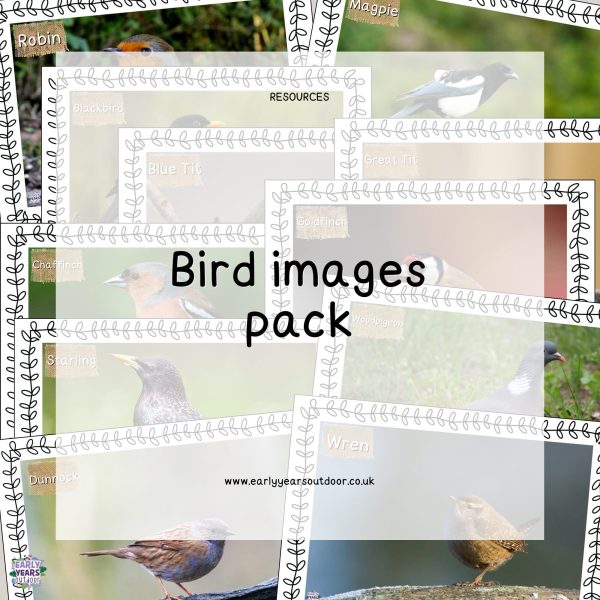 Bird images pack