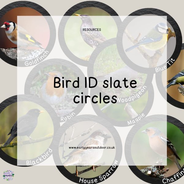 Bird ID on circles