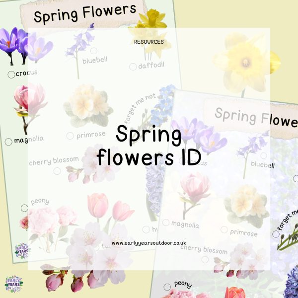 Spring flowers ID sheets