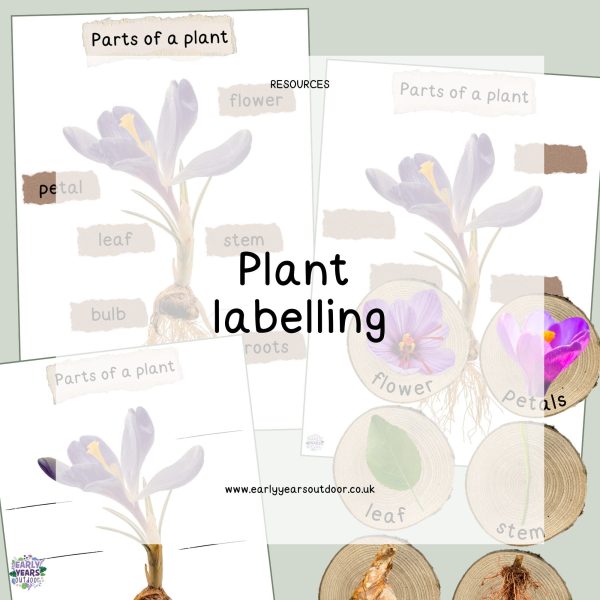 Parts of a plant with labels and logs with images