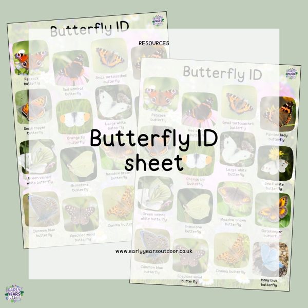 Butterfly identification sheet for common UK butterflies