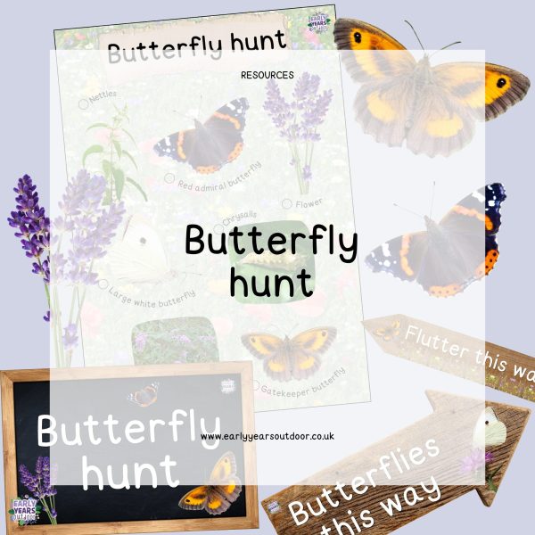 Butterfly hunt sheet and signs