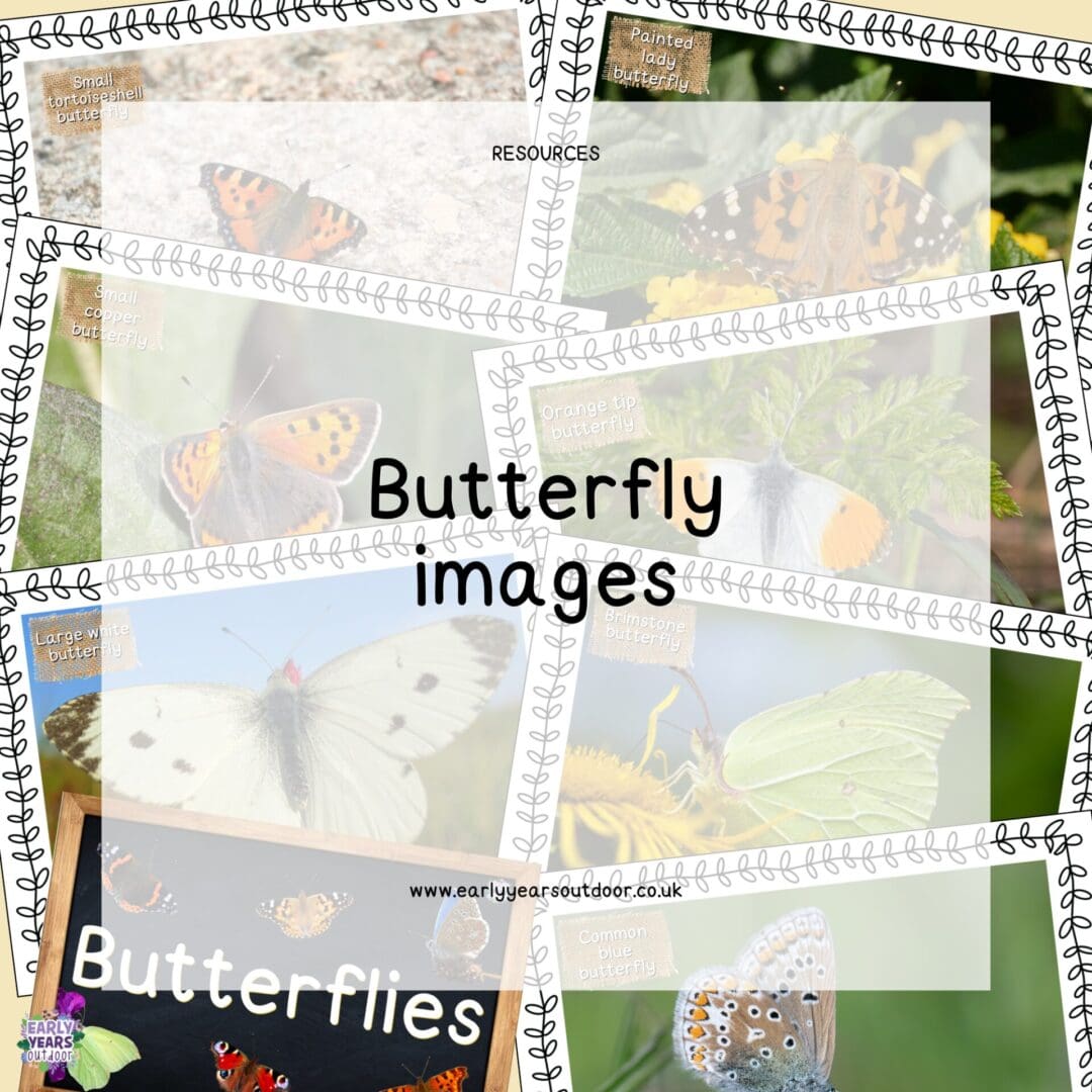 Images of common UK butterflies with labels and a sign