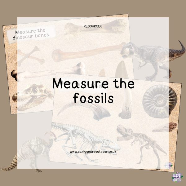 Measure the dinosaur bones and fossils activity sheets