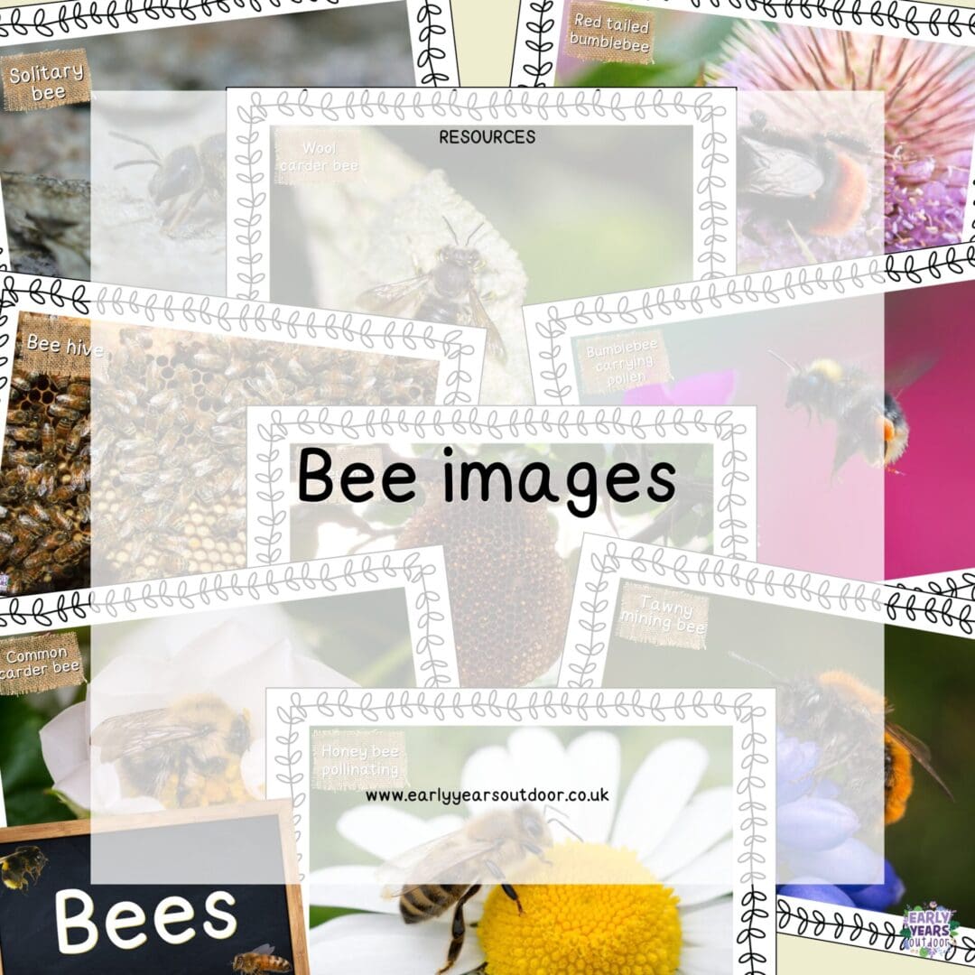 Bee images with labels and a sign