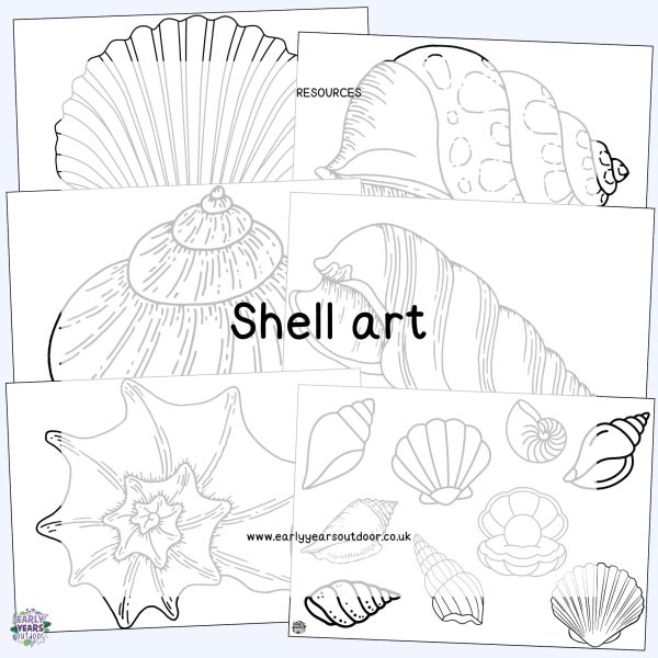 Shell outlines and images for art