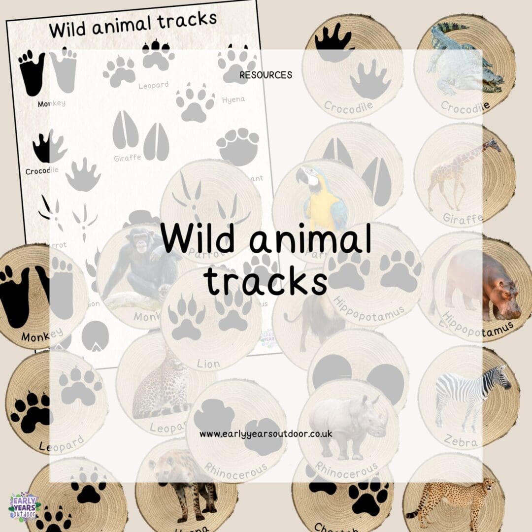 Wild animal tracks