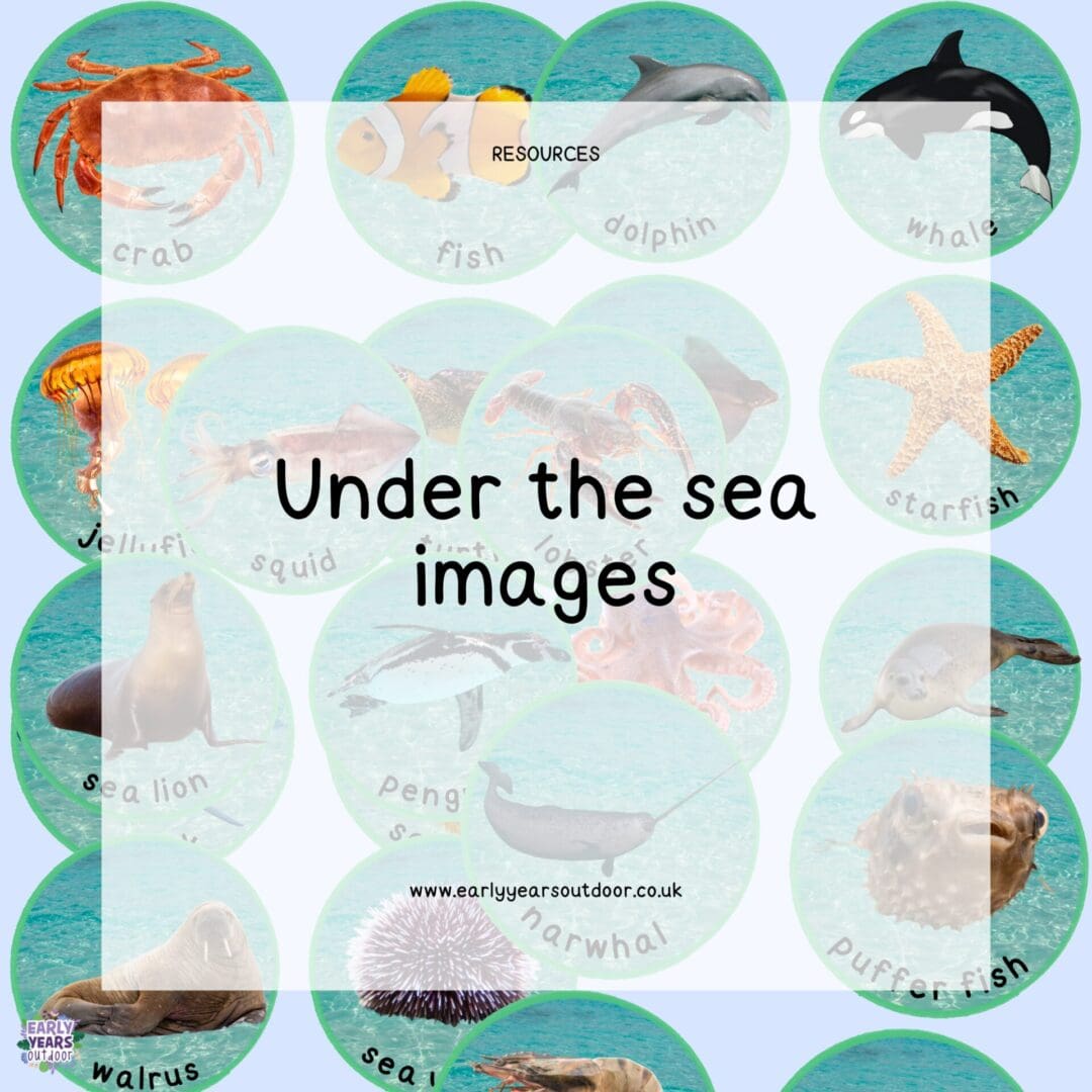 Under the sea images