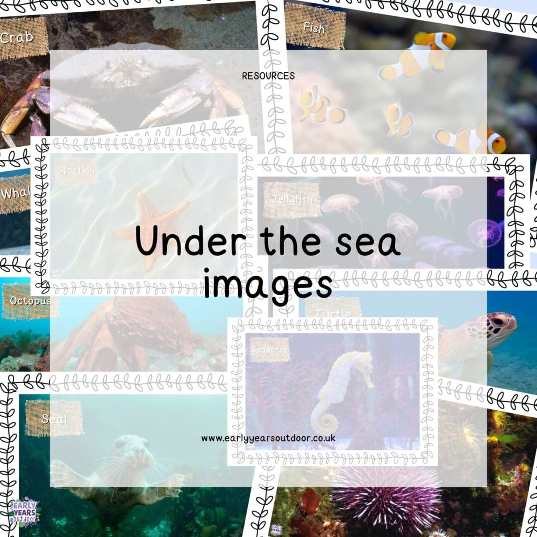 Under the sea images