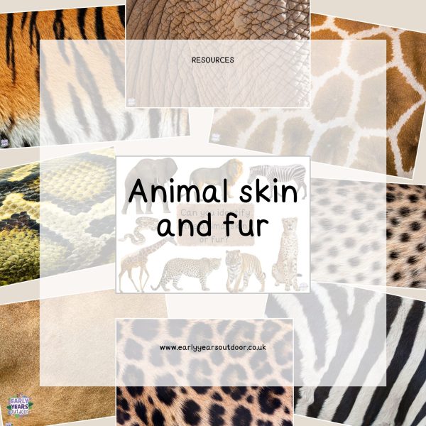 Animal skin and fur