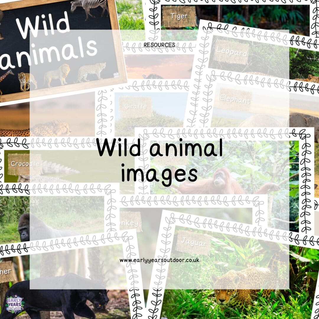 Wild animal images