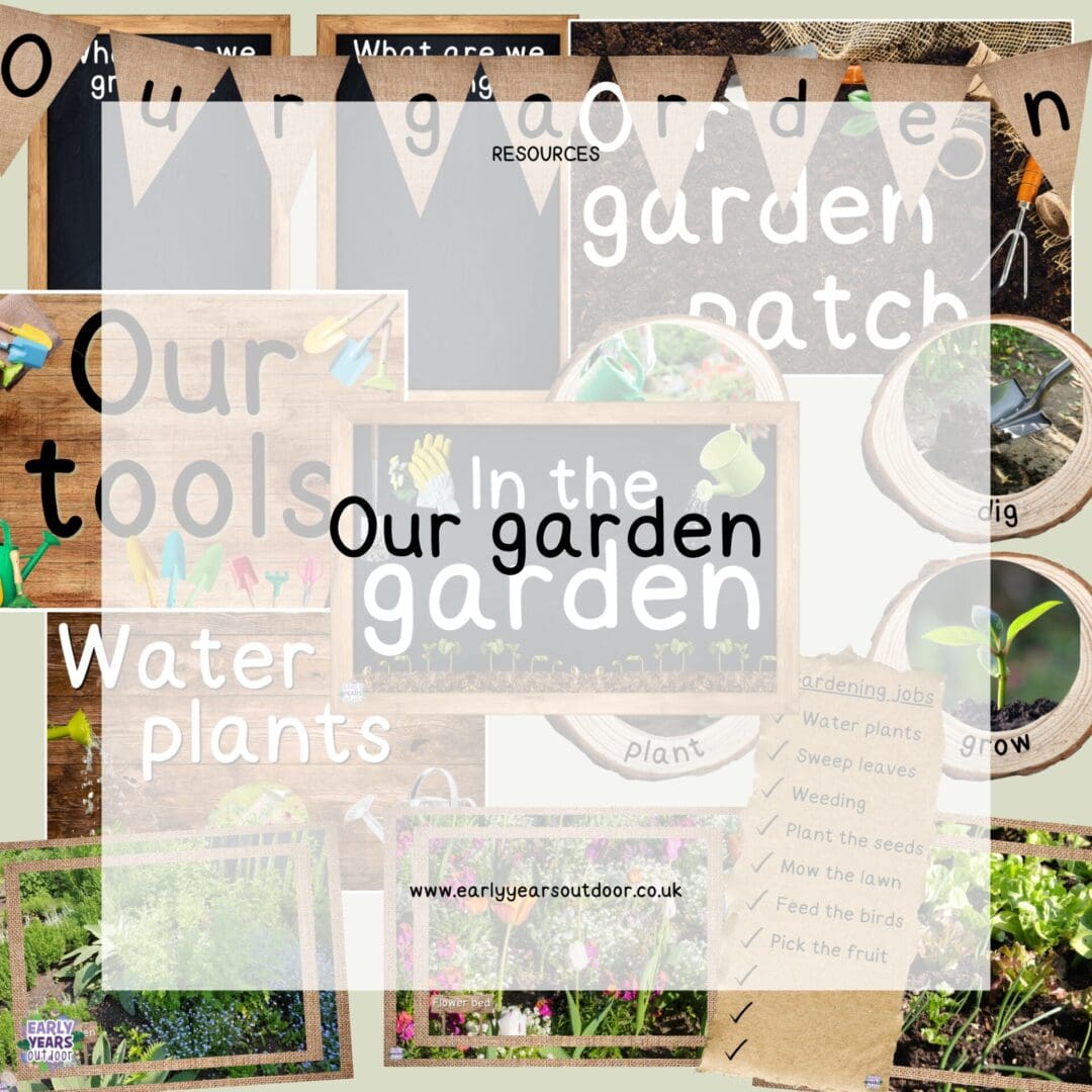 Our garden