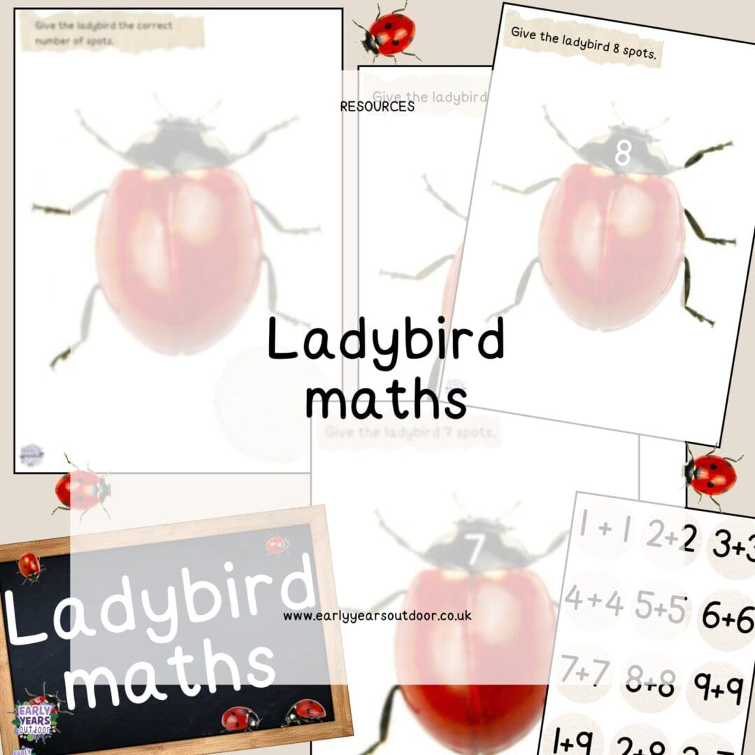 Ladybird maths