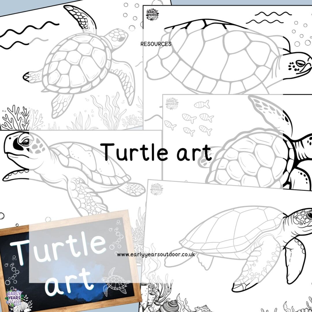 Turtle art