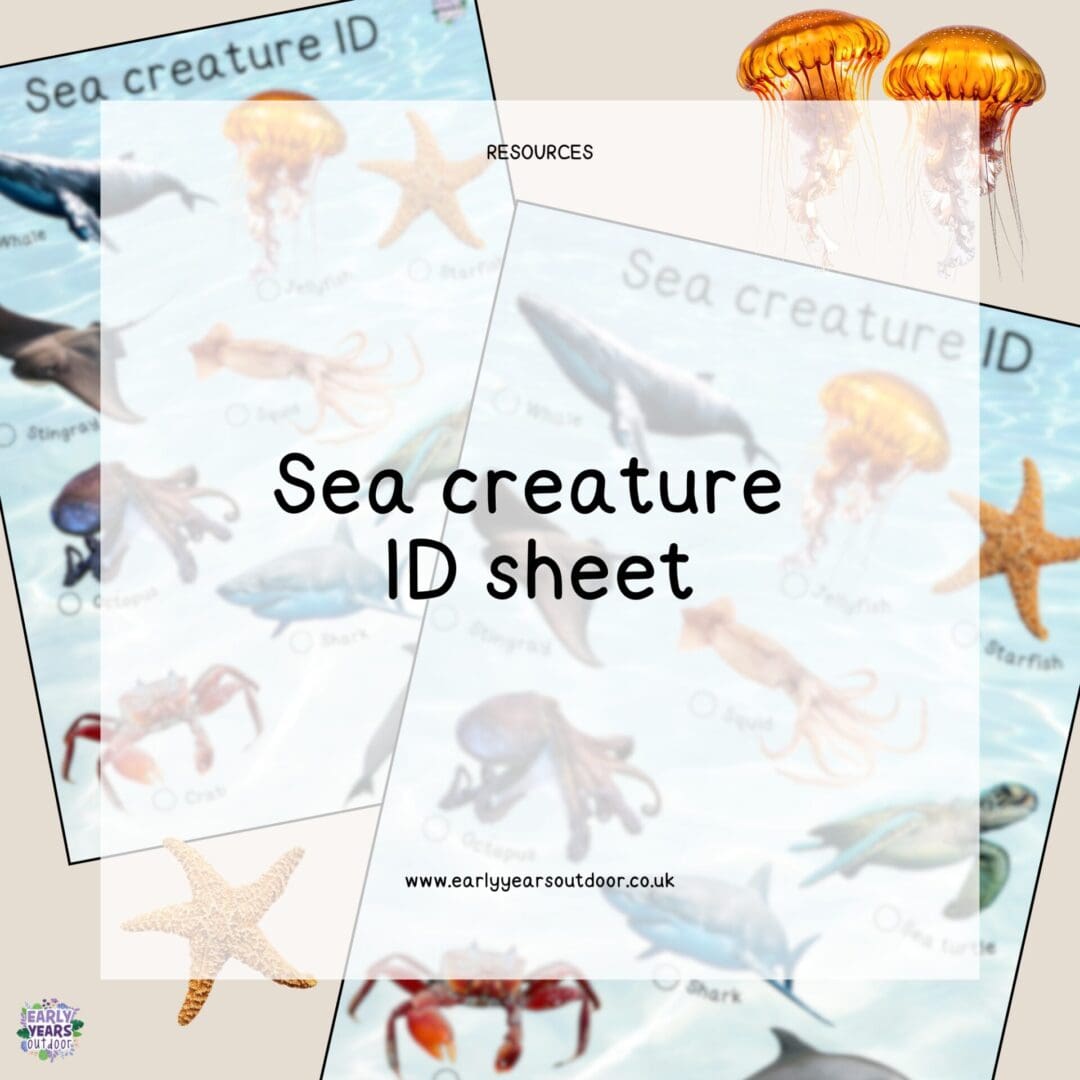 Sea creature ID sheet