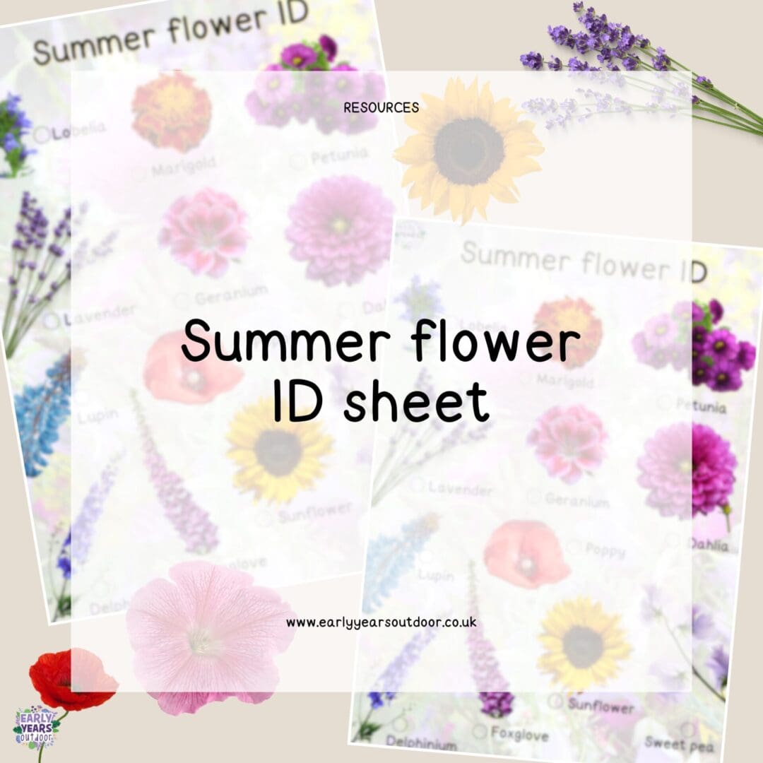 Summer flower ID sheet
