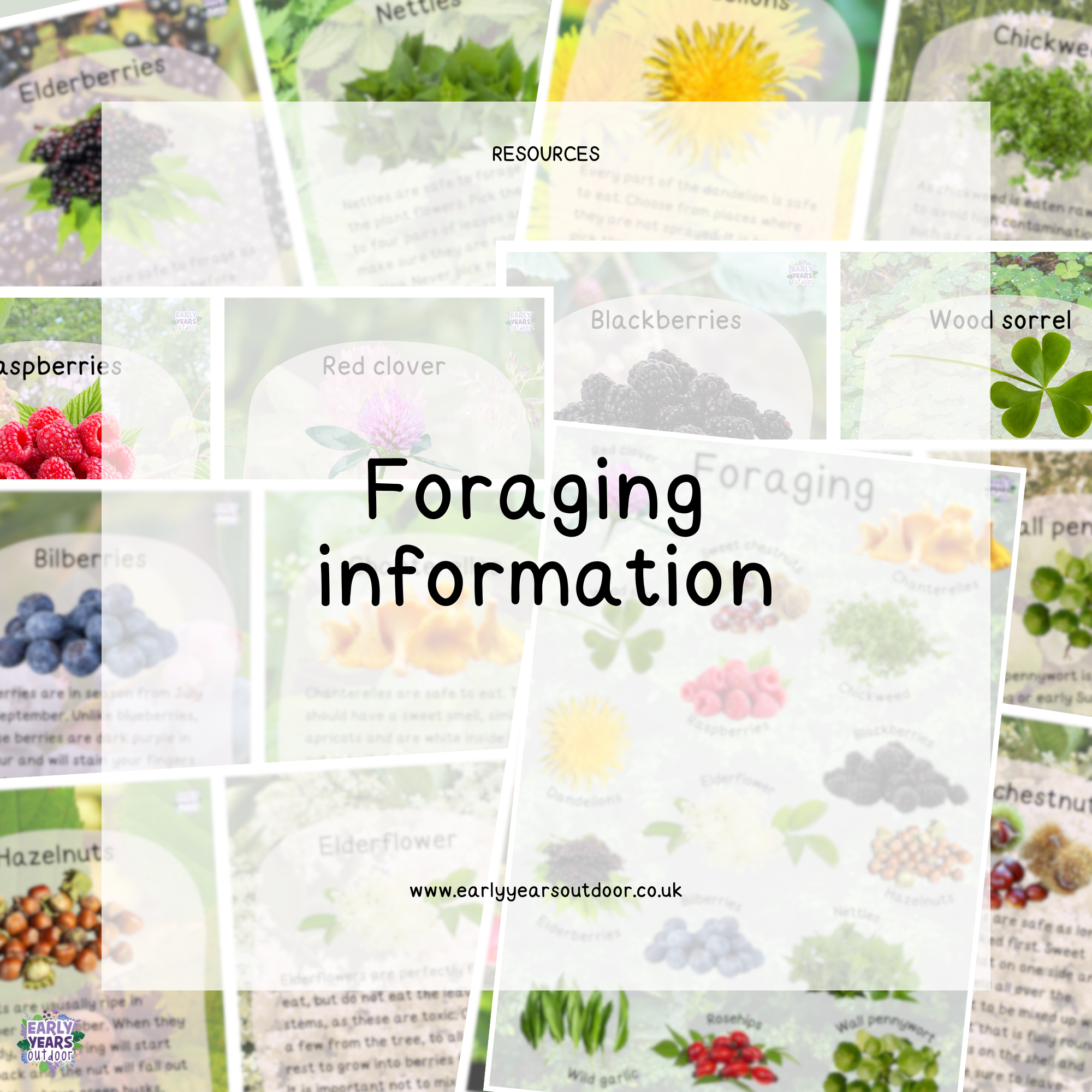 Foraging information resource