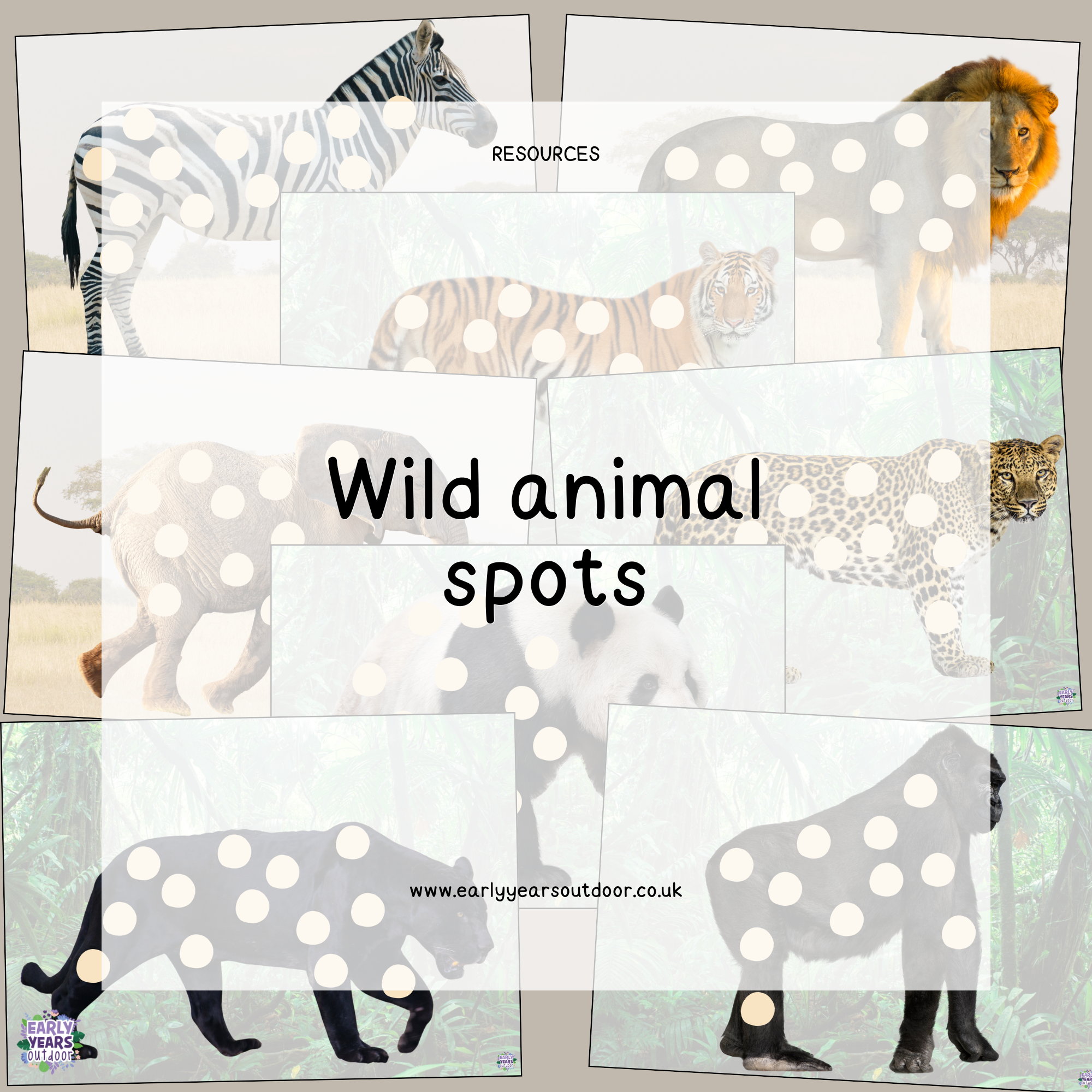 Wild animal spots matching activity