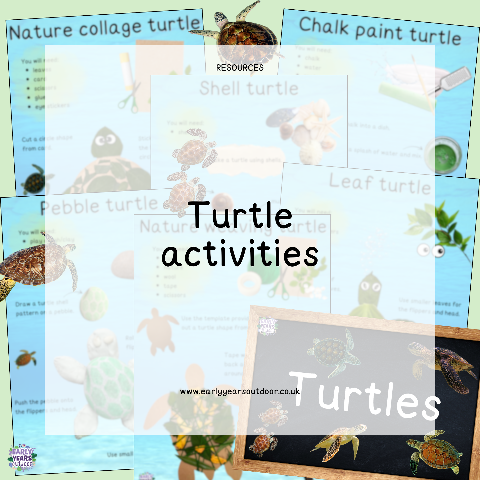 Turtle nature activities and a sign