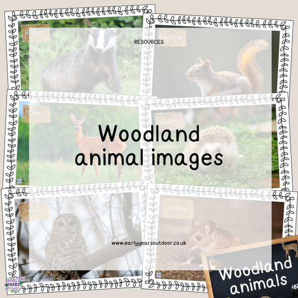 woodland animal images pack and sign
