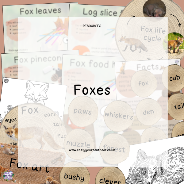 Fox nature activities, vocabulary, facts and signs