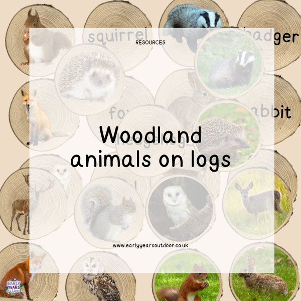 Woodland animal images and vocabulary on logs