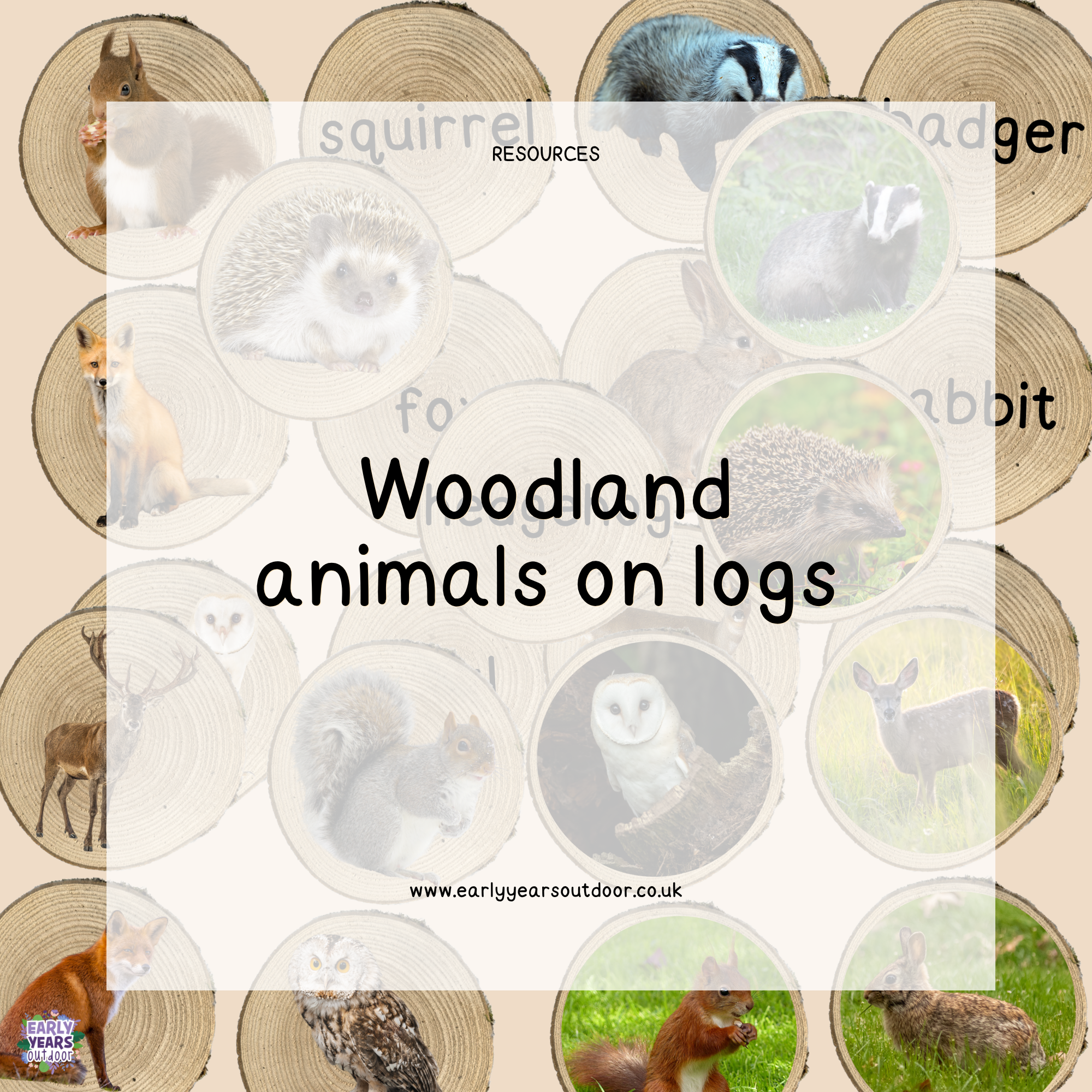 Woodland animal images and vocabulary on logs