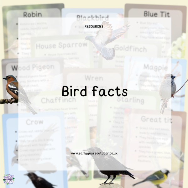 Bird fact cards with images