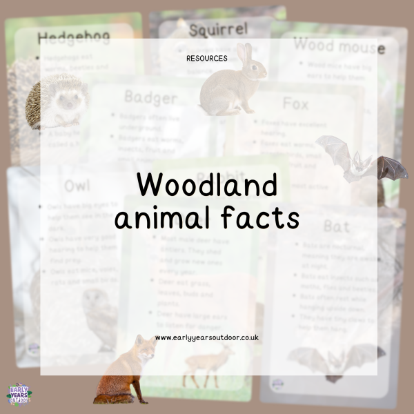 Woodland animal fact cards with images